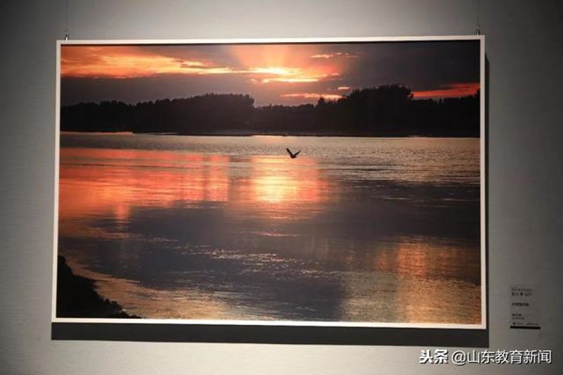 艺术之光：绘画作品展示的美学与趋势