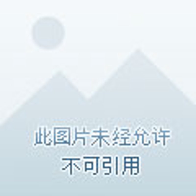 绘画作品的展示艺术——如何让您的创作大放异彩？