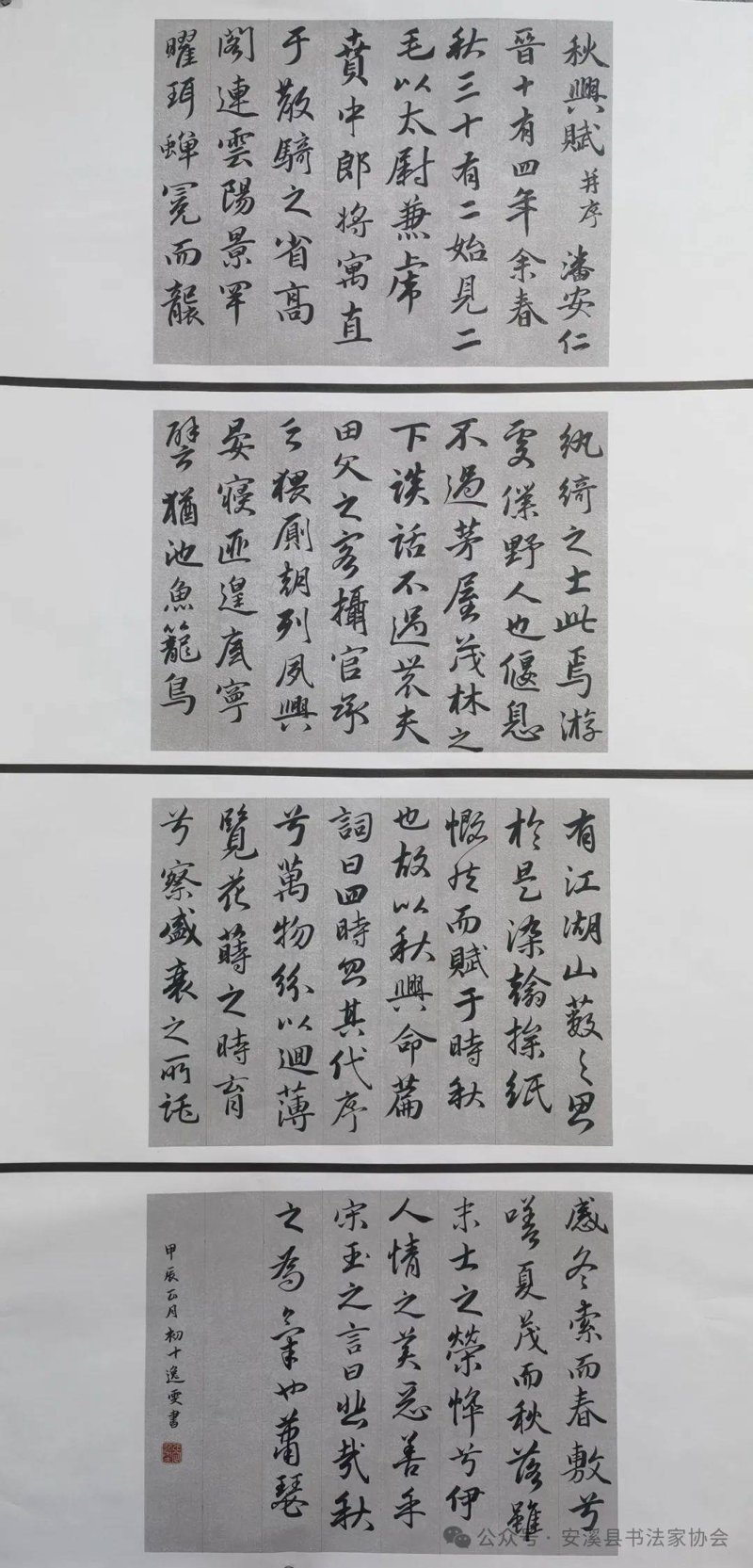 作品展示：行业动态透视艺术与创意的融合